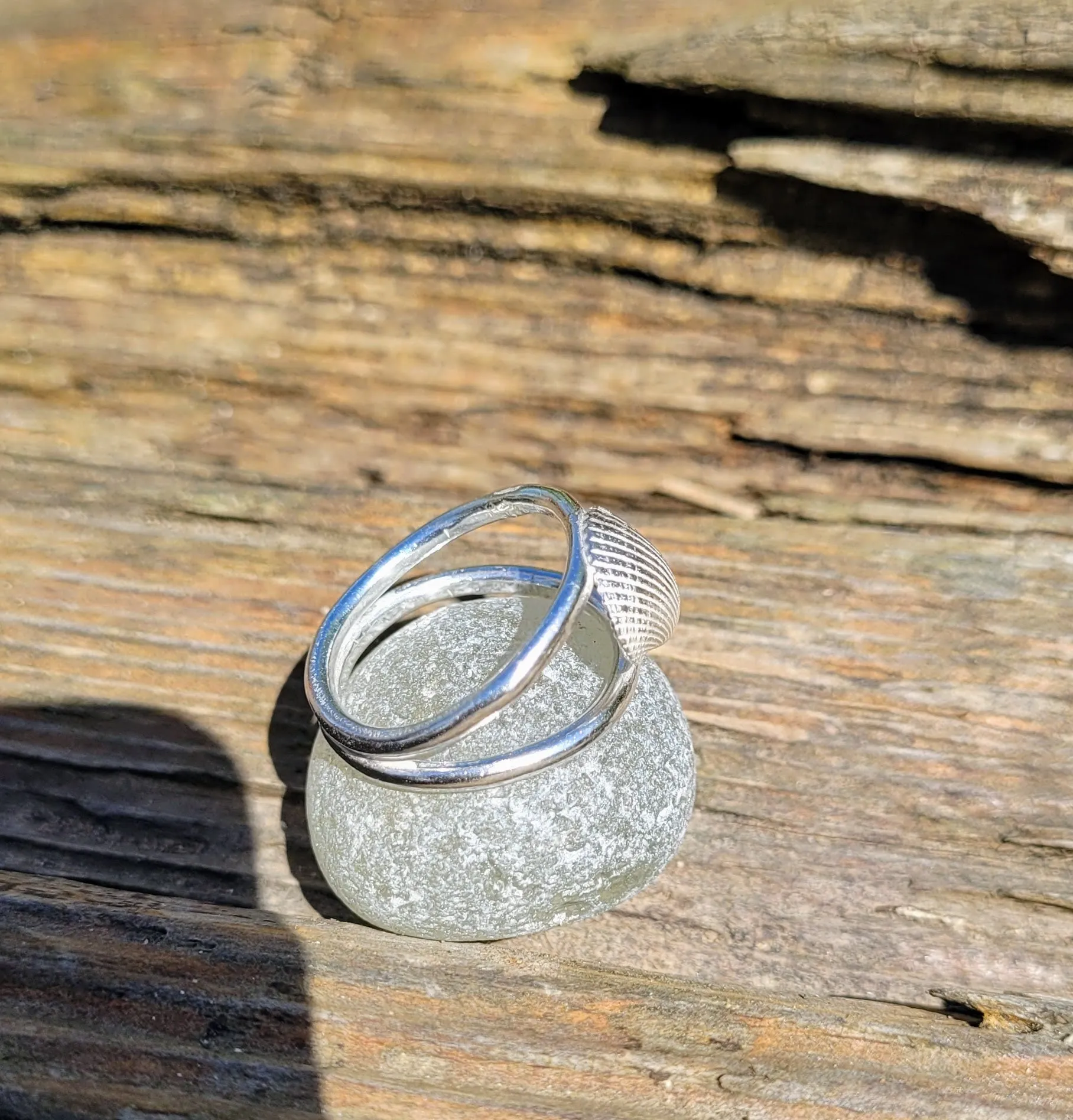 Cockle Shell Cutie Double Ring